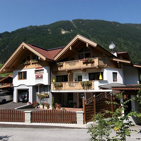 Appartements Enzian Finkenberg Zewnętrze zdjęcie
